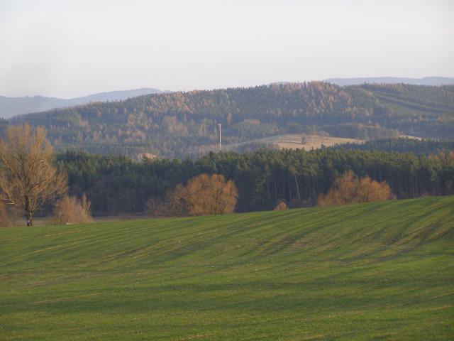 Volyňský Městský les od Nihošovických chalup